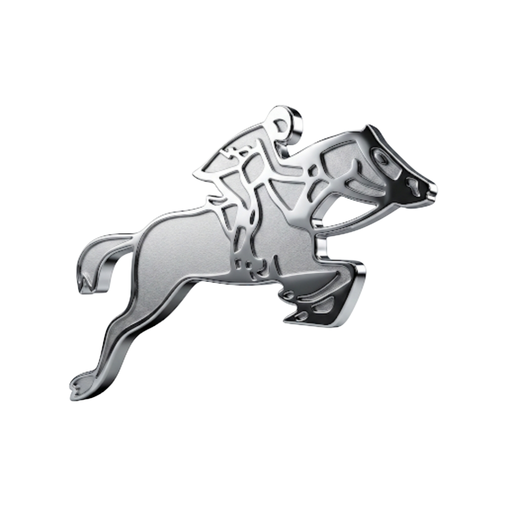 Limited-Edition Auto Rickshaw Riding Horse 🐎 – SB Accessories Special Piece 🛺