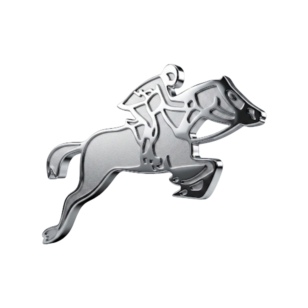 Limited-Edition Auto Rickshaw Riding Horse 🐎 – SB Accessories Special Piece 🛺